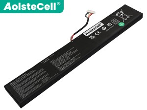 Batteri till  Asus C41N2311