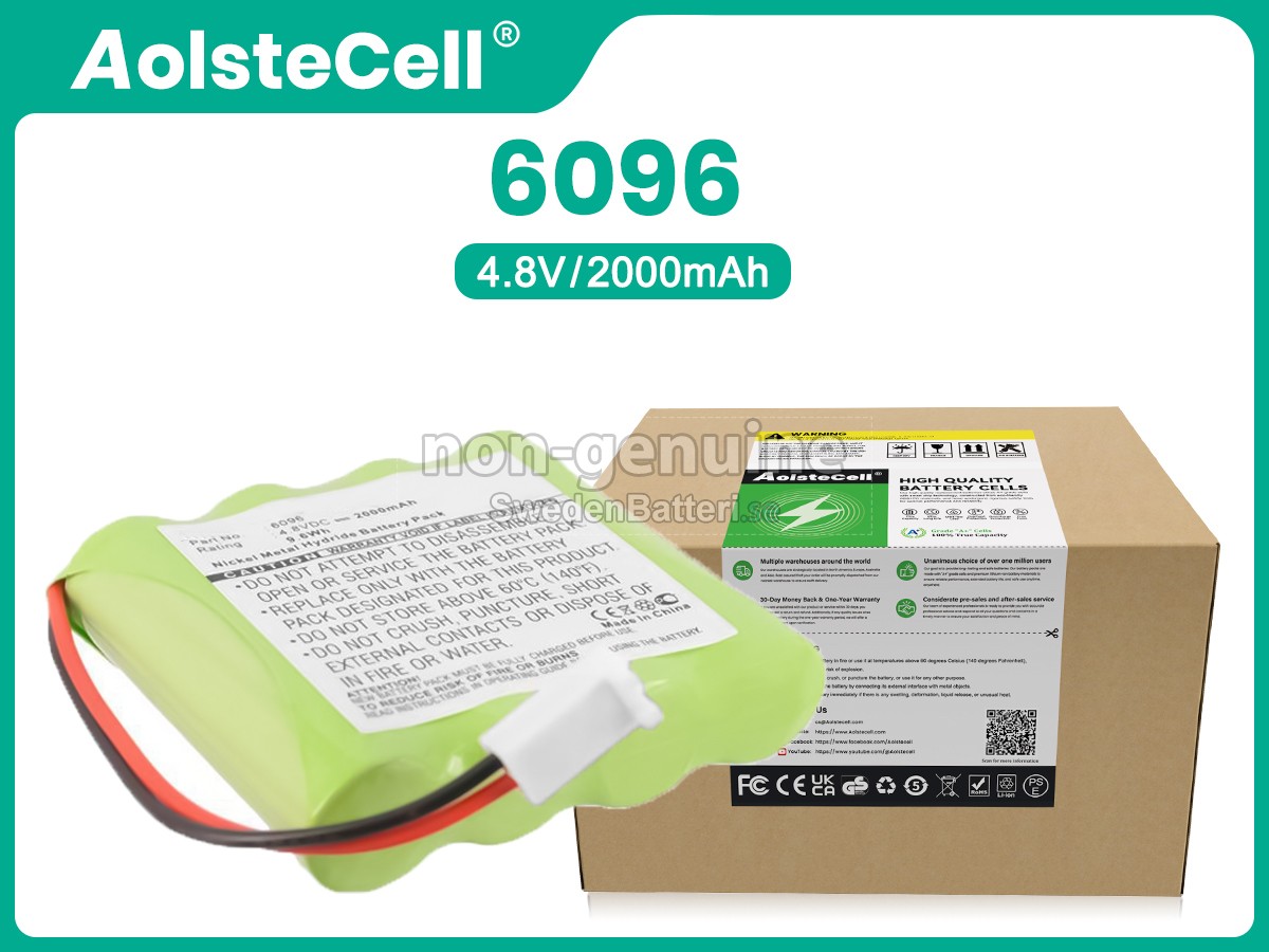 batteri till Delfi 6096