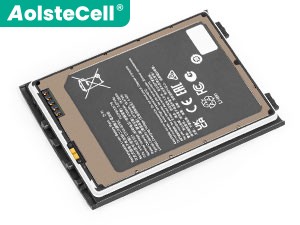Batteri till  Honeywell 318-055-023