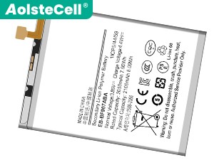 Batteri till  Samsung W2020