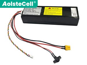 Batteri till  Segway Ninebot L6